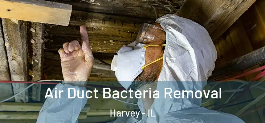  Air Duct Bacteria Removal Harvey - IL