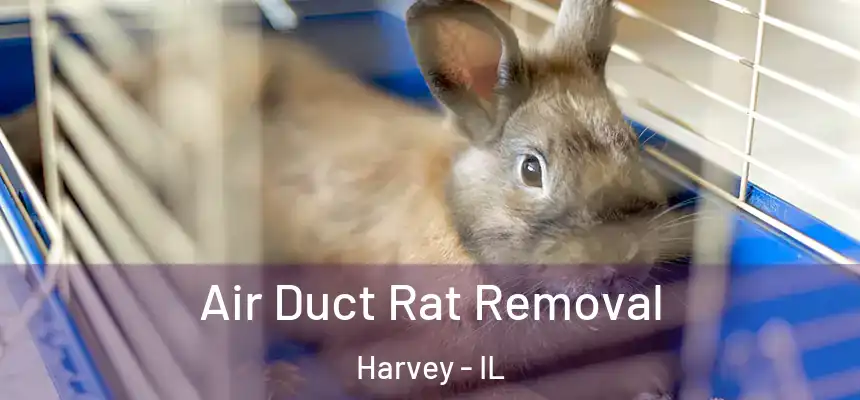 Air Duct Rat Removal Harvey - IL