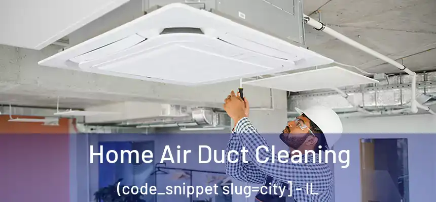  Home Air Duct Cleaning (code_snippet slug=city] - IL