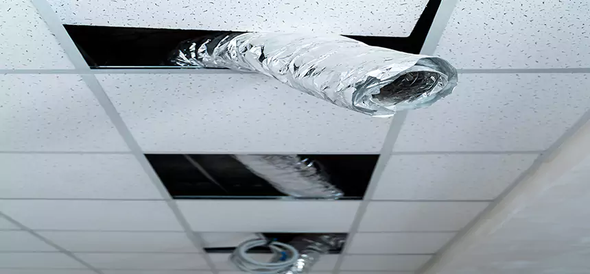 Our Air Duct Pet Hair Removal Services in Harvey, IL