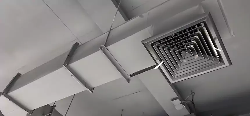 Our Pest Removal From Ducts Services in Harvey, IL