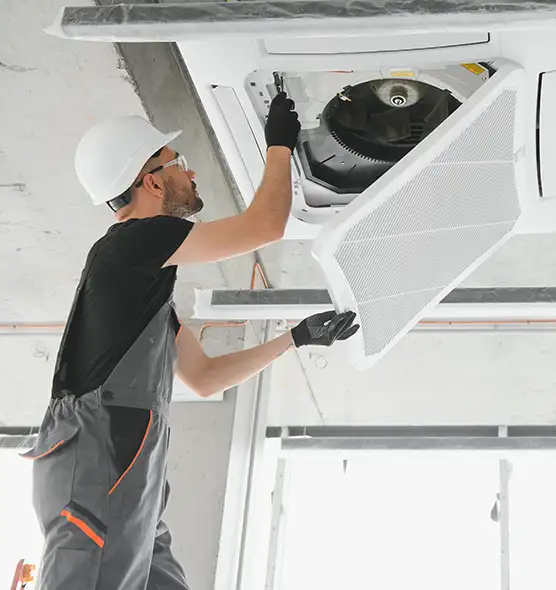 About Air Duct Rodent Removal in Harvey, IL