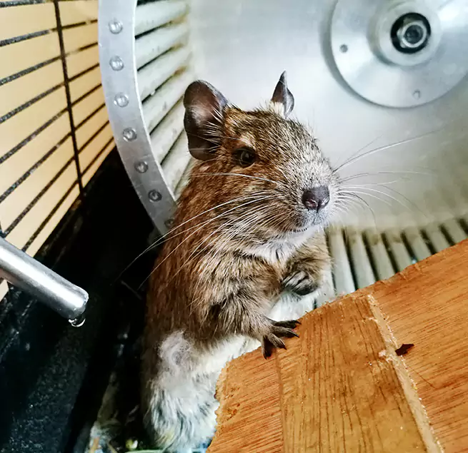 Why Homeowners & Businesses Trust Us Harvey, IL?