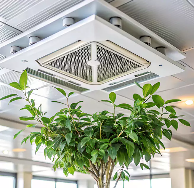 Why Homeowners & Businesses Trust Us in Harvey, IL?