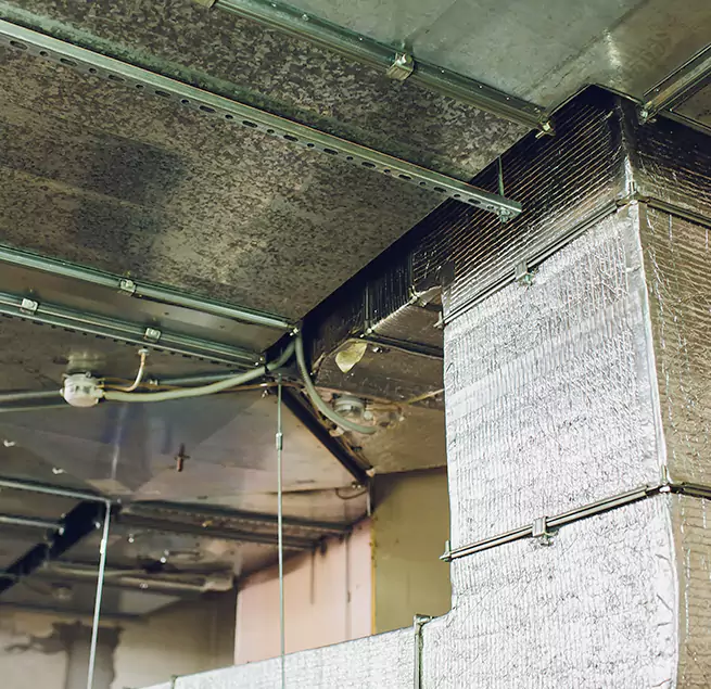 Why Homeowners & Businesses Trust Us in Harvey, IL?